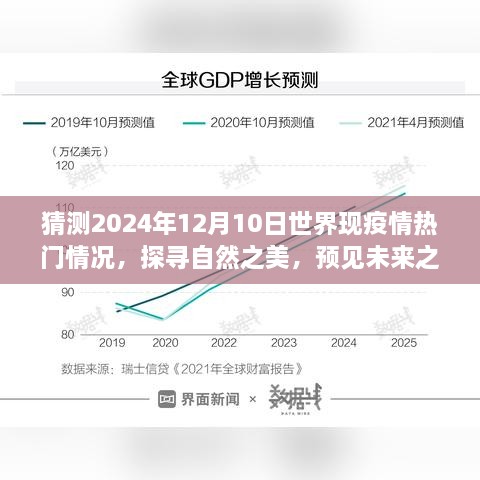 2024年12月10日疫情后的世界展望，自然之美与未来之旅的启程