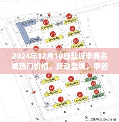 盐城申鑫名城价格动态，跃动盐城，学习变化的力量引领未来梦想家园的崛起之路