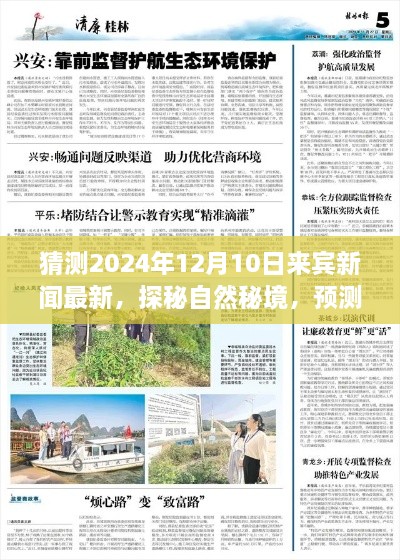 探秘自然秘境，来宾新发现之旅预测，启程寻找内心平和之旅（2024年12月最新新闻）