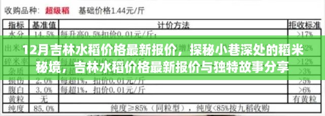 吉林水稻最新报价，探秘小巷稻米秘境与独特故事分享