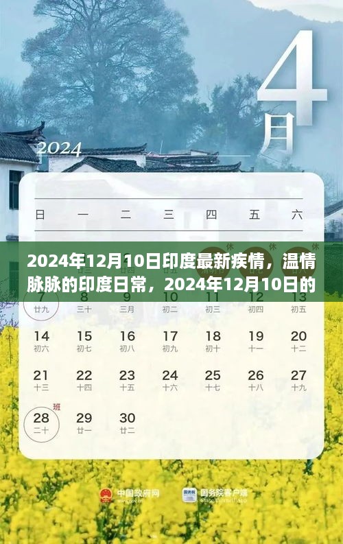 印度最新疫情下的温情与友情故事，2024年12月10日回顾