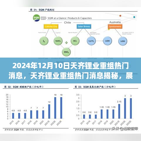 天齐锂业重组揭秘，行业变革展望2024年12月10日