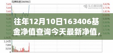 揭秘科技新宠，一键掌握净值动态，体验未来财富管理新纪元——今日最新净值查询（基金代码，163406）