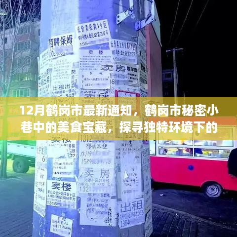 鹤岗市秘密小巷美食探秘，最新通知下的特色小店宝藏