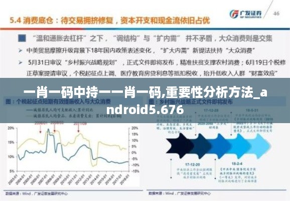 一肖一码中持一一肖一码,重要性分析方法_android5.676