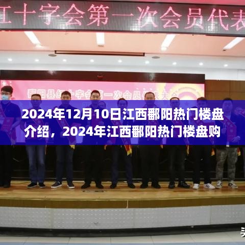 2024年江西鄱阳热门楼盘购买指南，从选择到成交的详细步骤介绍