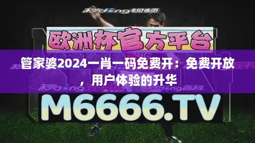 管家婆2024一肖一码免费开：免费开放，用户体验的升华