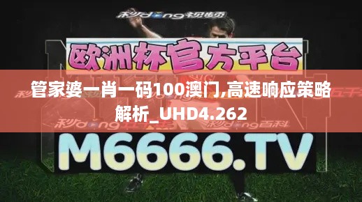 管家婆一肖一码100澳门,高速响应策略解析_UHD4.262