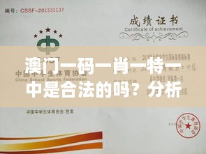 澳门一码一肖一特一中是合法的吗？分析合法赌博的国际认可度