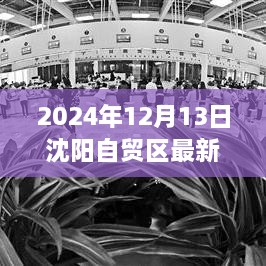 沈阳自贸区最新房价揭秘，特色小店与独特环境背后的房价内幕（2024年12月13日）