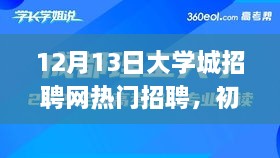 12月13日大学城招聘网热门招聘求职全攻略，初学者与进阶用户必看