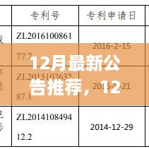 深度解析，12月重磅公告及其影响力与地位探讨