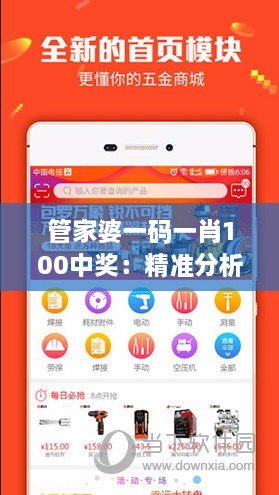 管家婆一码一肖100中奖：精准分析，百发百中