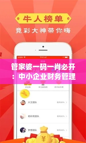 管家婆一码一肖必开：中小企业财务管理的最佳拍档