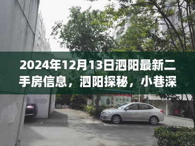 泗阳最新二手房信息揭秘与小巷特色小店探秘