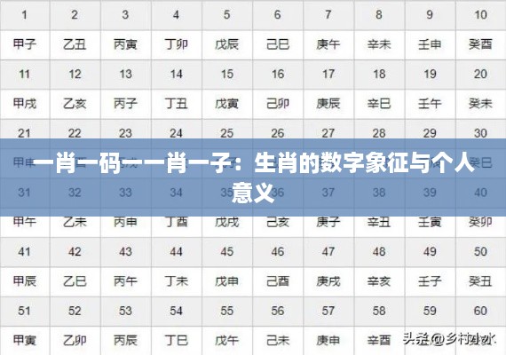 一肖一码一一肖一子：生肖的数字象征与个人意义