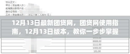 团贷网使用指南，掌握操作技巧，12月最新版