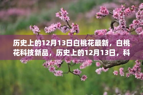 历史上的12月13日，白桃花科技新品重塑生活体验日