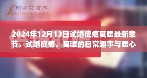 试婚成瘾，夏暖的日常趣事与暖心羁绊最新章节曝光（2024年12月13日）