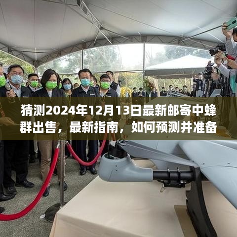 2024年蜂群邮寄出售预测与参与指南，最新指南助你参与蜂群出售活动