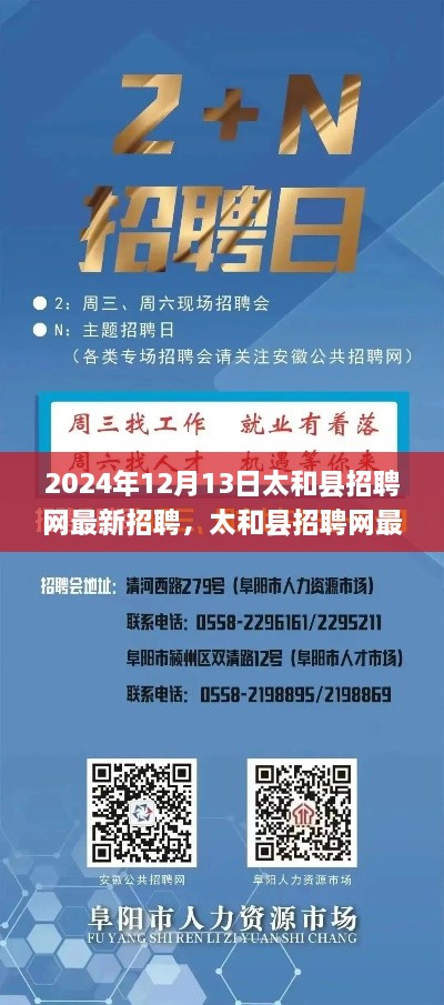 太和县招聘网最新招聘信息聚焦职场趋势（2024年12月）