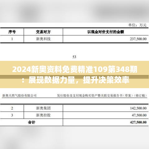 2024新奥资料免费精准109第348期：展现数据力量，提升决策效率