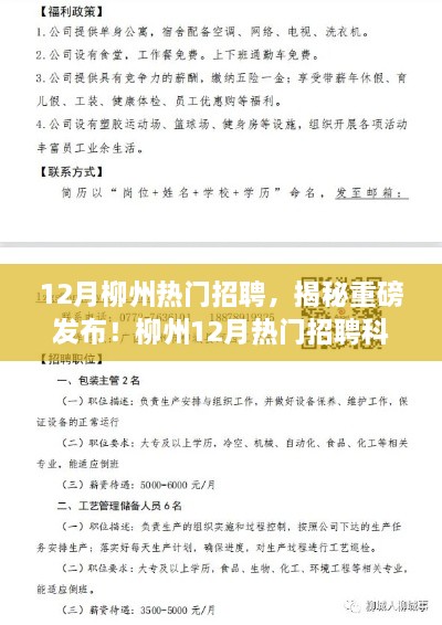 揭秘重磅发布，柳州十二月科技招聘热潮，革新你的生活体验！