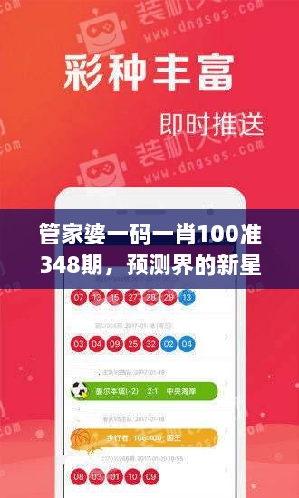 管家婆一码一肖100准348期，预测界的新星