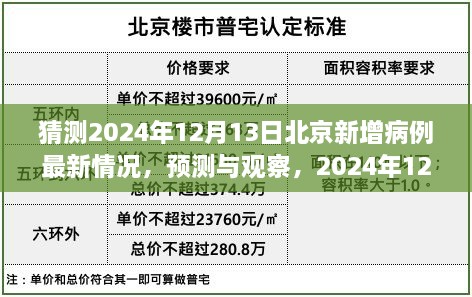 2024年12月13日 第4页