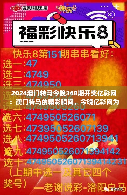 2024澳门特马今晚348期开奖亿彩网：澳门特马的精彩瞬间，今晚亿彩网为你揭开面纱。