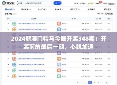 2024薪澳门特马今晚开奖348期：开奖前的最后一刻，心跳加速