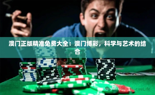 澳门正版精准免费大全：澳门博彩，科学与艺术的结合