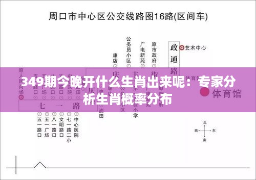 349期今晚开什么生肖出来呢：专家分析生肖概率分布