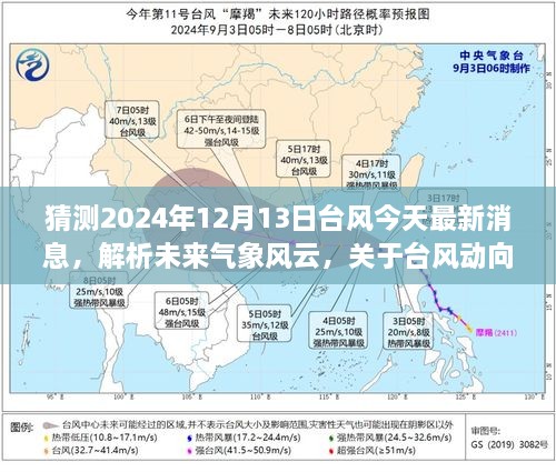 关于台风动向的预测与探讨，解析未来气象风云，关于即将到来的台风最新消息（以2024年12月13日为例）