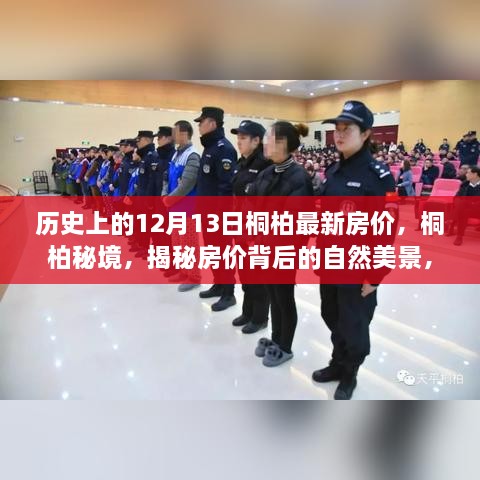 揭秘桐柏秘境，探寻自然美景背后的房价与内心宁静之旅（历史最新房价回顾）