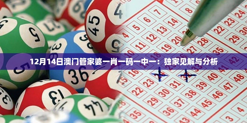 12月14日澳门管家婆一肖一码一中一：独家见解与分析