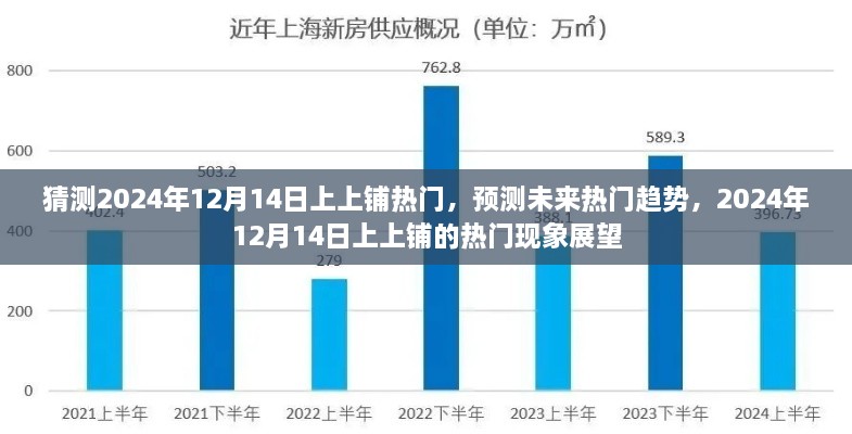 2024年12月14日上上铺热门趋势展望，未来热门现象预测