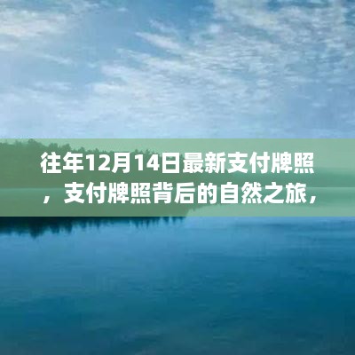 支付牌照背后的心灵探索之旅，自然之旅启程，远离尘嚣的旅程