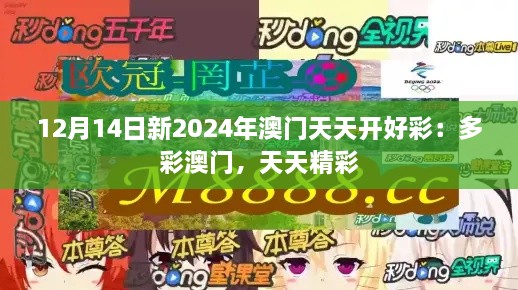 12月14日新2024年澳门天天开好彩：多彩澳门，天天精彩