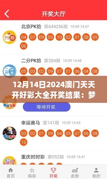 12月14日2024澳门天天开好彩大全开奖结果：梦想与现实的交汇