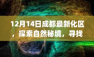 2024年12月14日 第10页