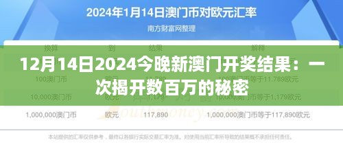 12月14日2024今晚新澳门开奖结果：一次揭开数百万的秘密