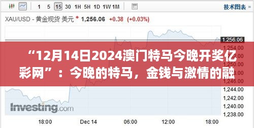 “12月14日2024澳门特马今晚开奖亿彩网”：今晚的特马，金钱与激情的融合