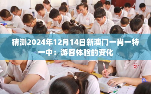 猜测2024年12月14日新澳门一肖一特一中：游客体验的变化