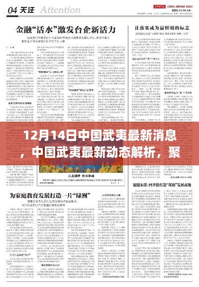 中国武夷最新动态解析，聚焦最新消息与观点深度阐述