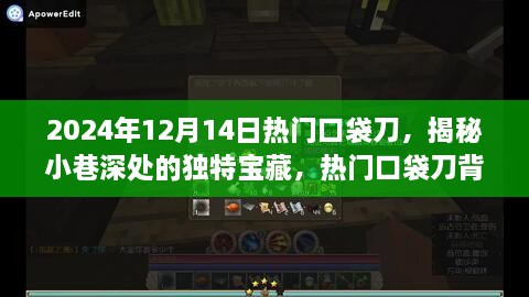 揭秘，热门口袋刀的独特宝藏与背后的故事，2024年12月14日更新