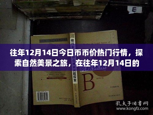 往年12月14日币价行情与探索自然美景之旅，寻找内心的宁静与平和