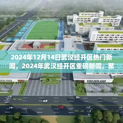 2024年武汉经开区重磅新闻回顾，十二月十四日新鲜资讯聚焦