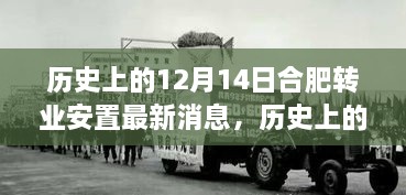 历史上的12月14日合肥转业安置最新消息深度解析与评测