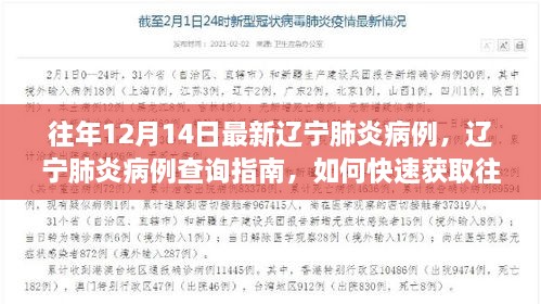 辽宁肺炎病例查询指南，如何快速获取往年12月14日最新病例信息（含初学者与进阶用户适用）